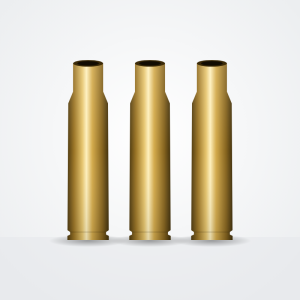 308 Win